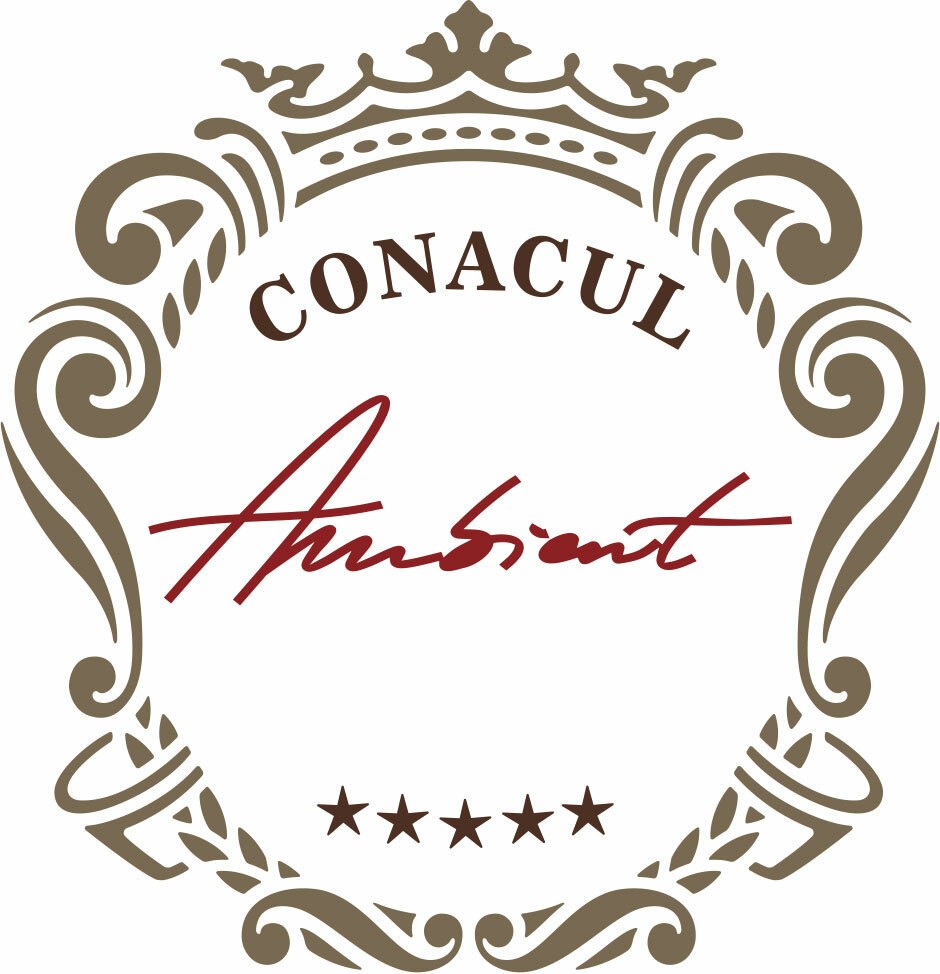 Conacul Ambient Romania