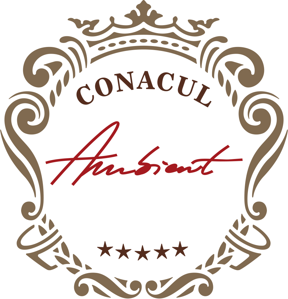 Conacul Ambient