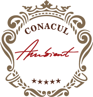 Conacul Ambient