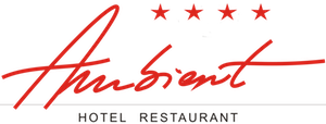 Hotel Ambient